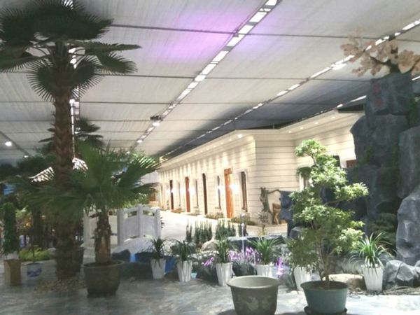 生態(tài)餐廳價格